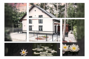 Lily - Sunny Flowers Apartments in Lukecin
